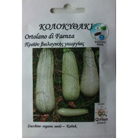 Βιο Κολοκύθι
